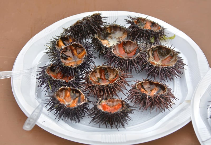 Global Tasting Plates
